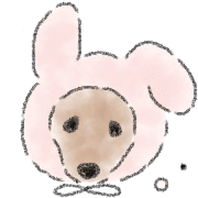 Dachshund . 2 รูปที่ 15