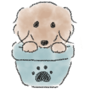 Dachshund . 2 รูปที่ 17