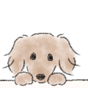 Dachshund . 2 รูปที่ 20