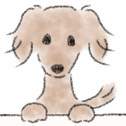 Dachshund . 2 รูปที่ 21