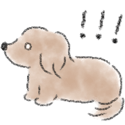 Dachshund . 2 รูปที่ 22