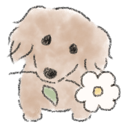 Dachshund . 2 รูปที่ 23
