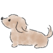 Dachshund . 2 รูปที่ 29