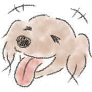 Dachshund . 2 รูปที่ 31