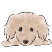 Dachshund . 2 รูปที่ 34