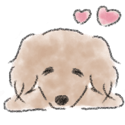 Dachshund . 2 รูปที่ 35