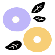 031