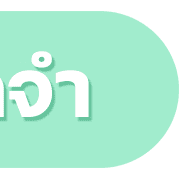 ลายที่ 12