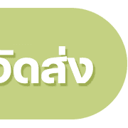 ลายที่ 26