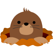 031