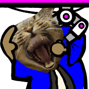 006