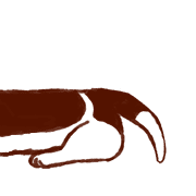 033