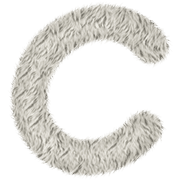 003