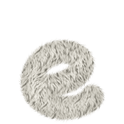 031