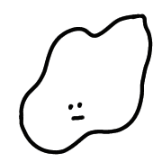 019