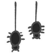 004