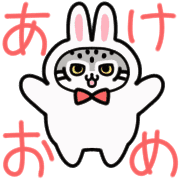 006