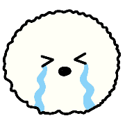 019