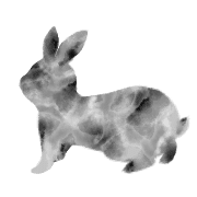 025
