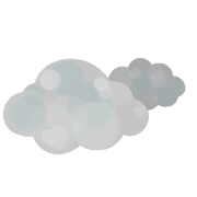 031