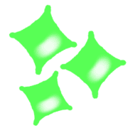 016