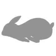 033