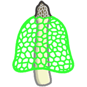 004