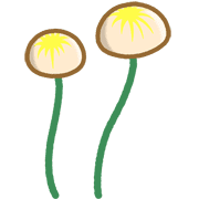 005