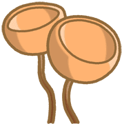 011