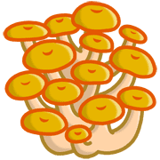 023