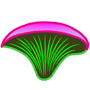 024