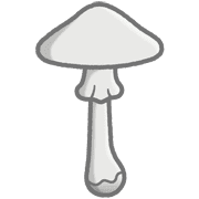 027