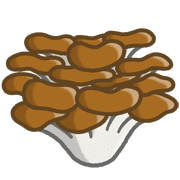 036