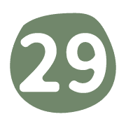 029