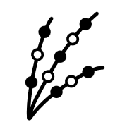 007