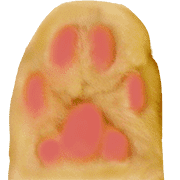 033