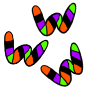 032