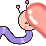 019