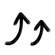 009