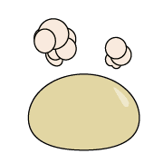 025
