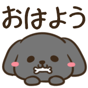 006