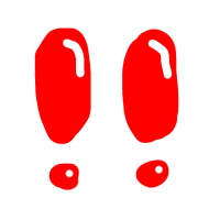 009