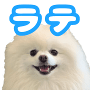 002