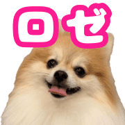 003