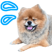 004