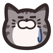 031