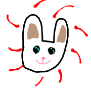 003