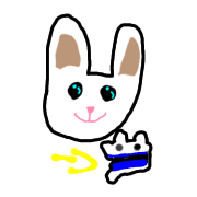 010