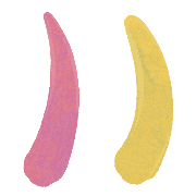 009
