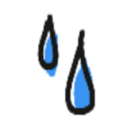 005